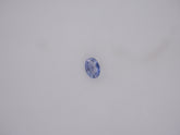 Srilanka Neelam - 03.99 Carat