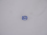 Srilanka Neelam - 06.64 Carat