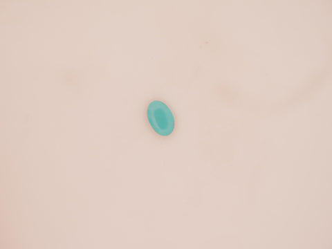 Irani Firoza - 07.14 Carat