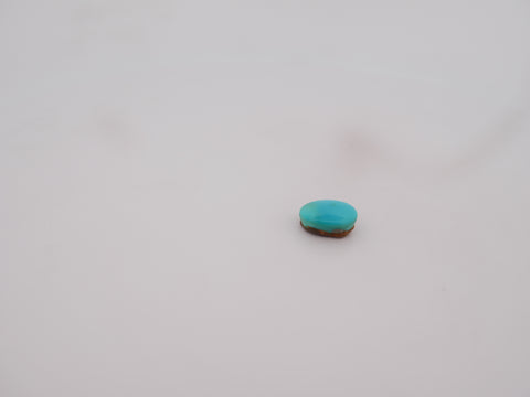 Irani Firoza - 07.24 Carat