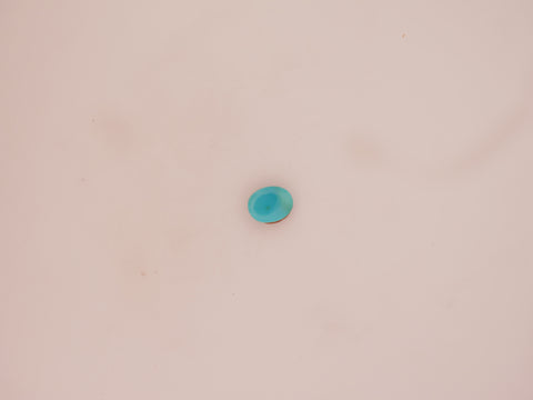 Irani Firoza - 07.24 Carat