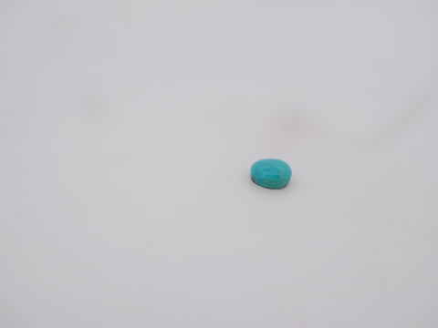 Irani Firoza - 06.79 Carat