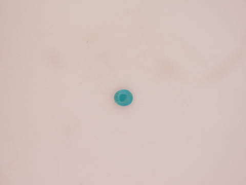 Irani Firoza - 06.79 Carat