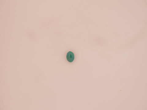 Irani Firoza - 05.44 Carat