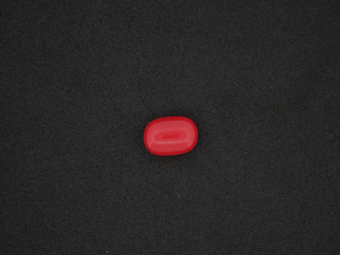 Italian Red Coral - 09.95 Carat