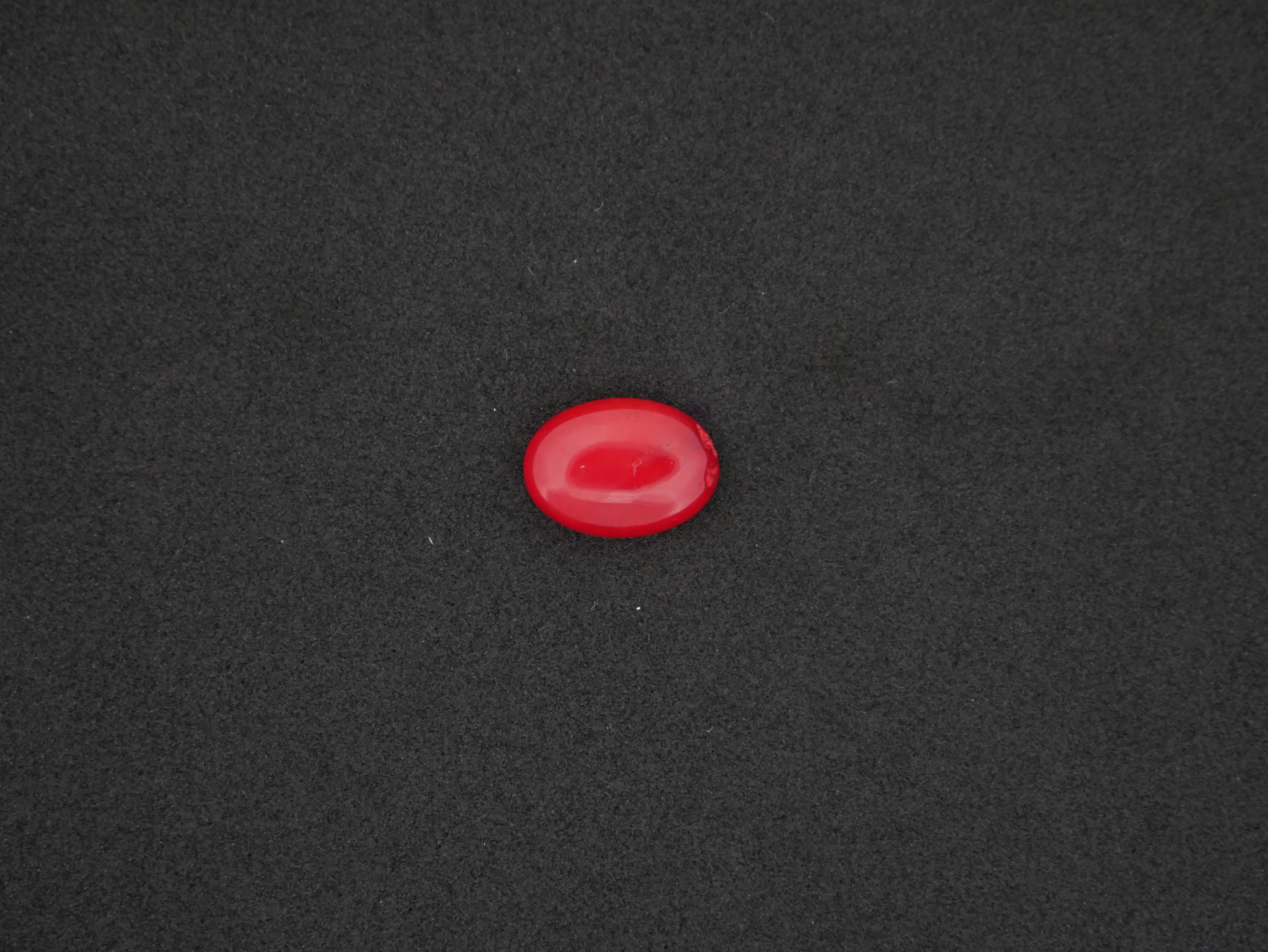 Italian Red Coral - 05.06 Carat
