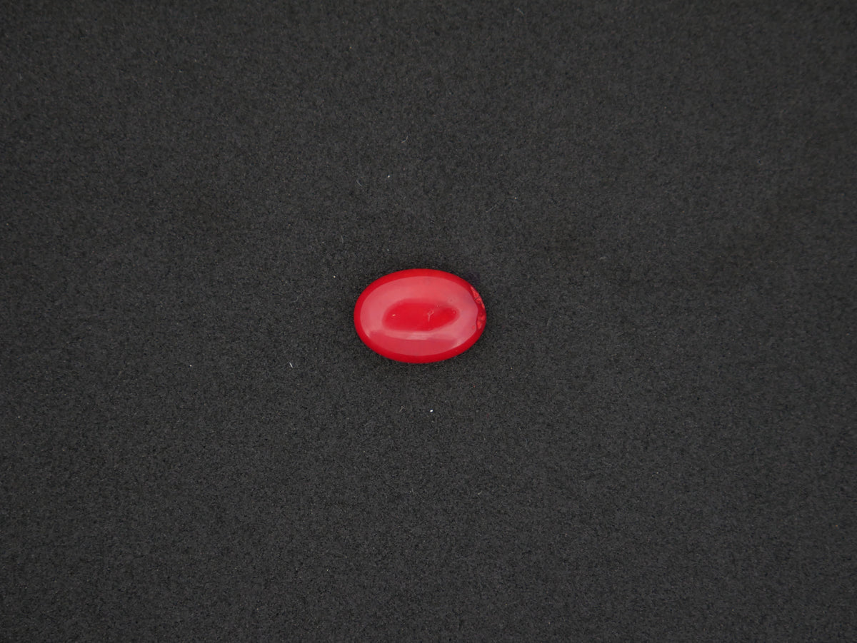 Italian Red Coral - 05.06 Carat