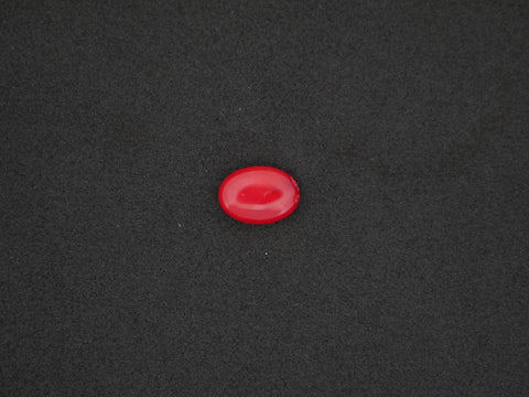 Italian Red Coral - 05.06 Carat