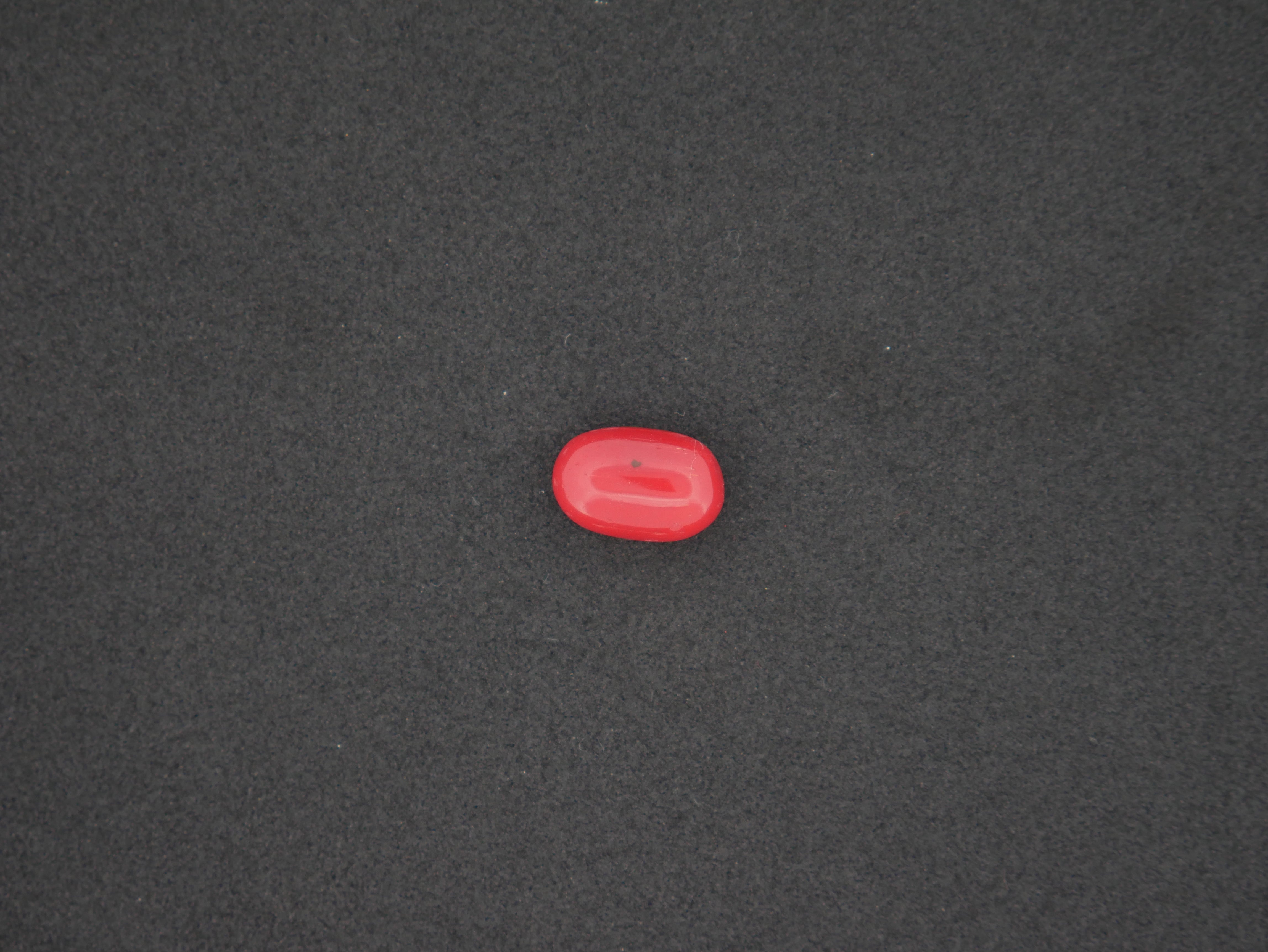 Italian Red Coral - 05.50 Carat