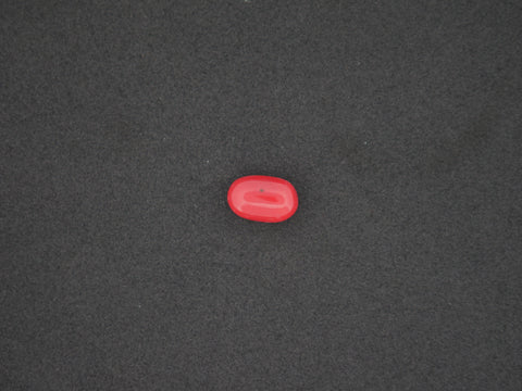 Italian Red Coral - 05.50 Carat