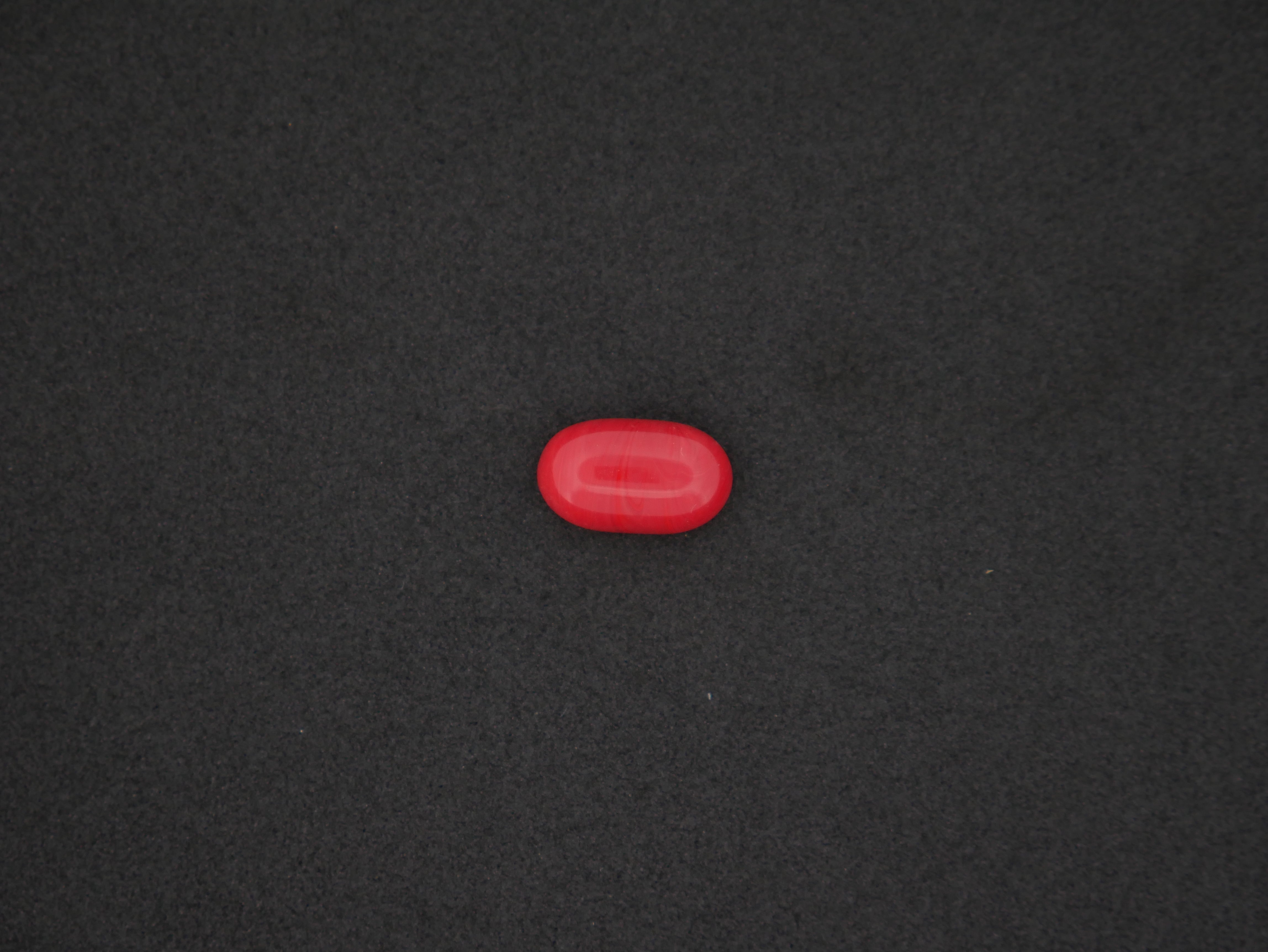 Italian Red Coral - 05.70 Carat