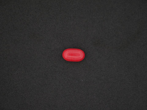 Italian Red Coral - 05.70 Carat