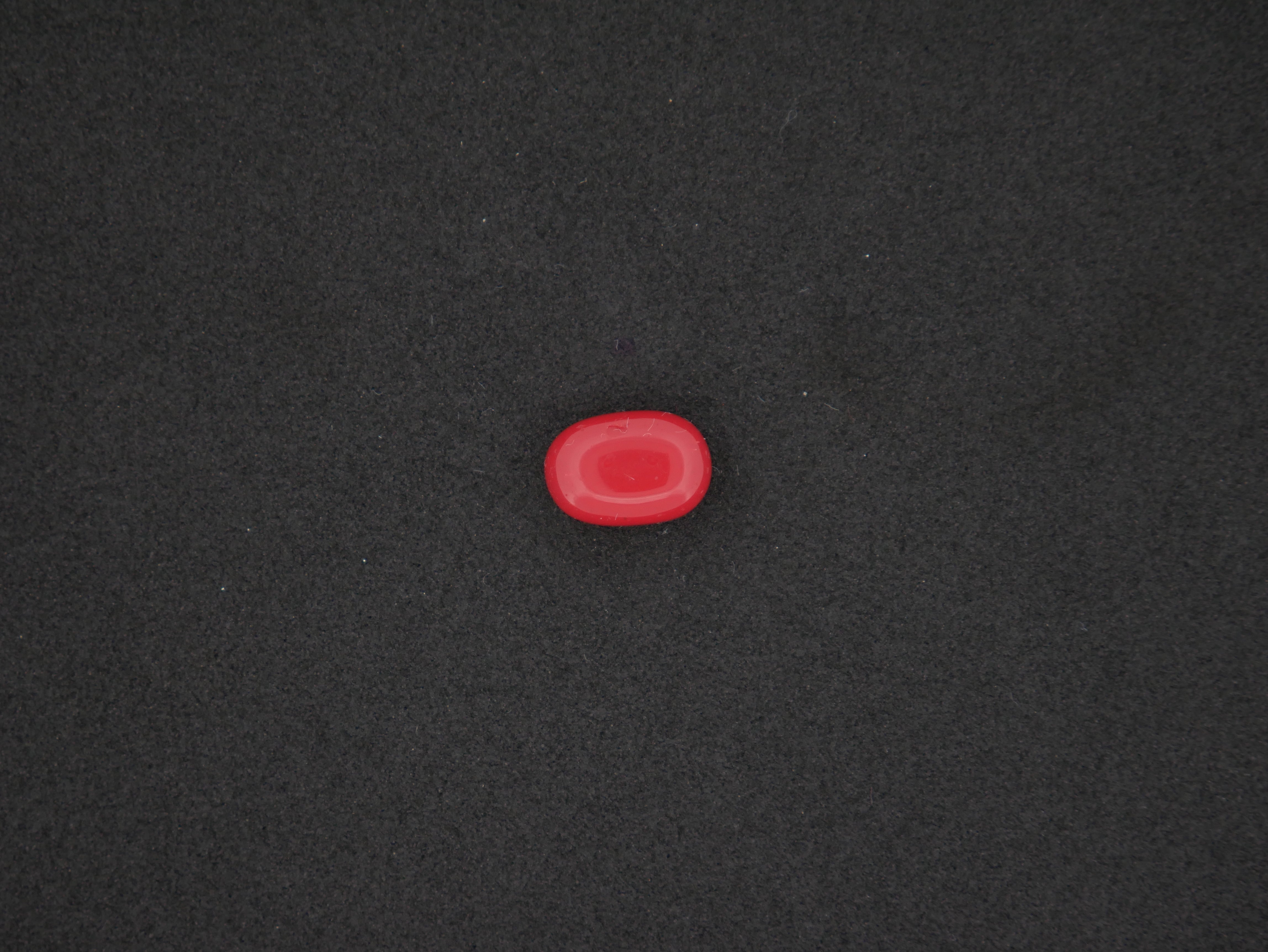 Italian Red Coral - 05.00 Carat