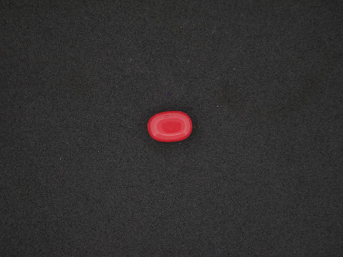 Italian Red Coral - 05.00 Carat
