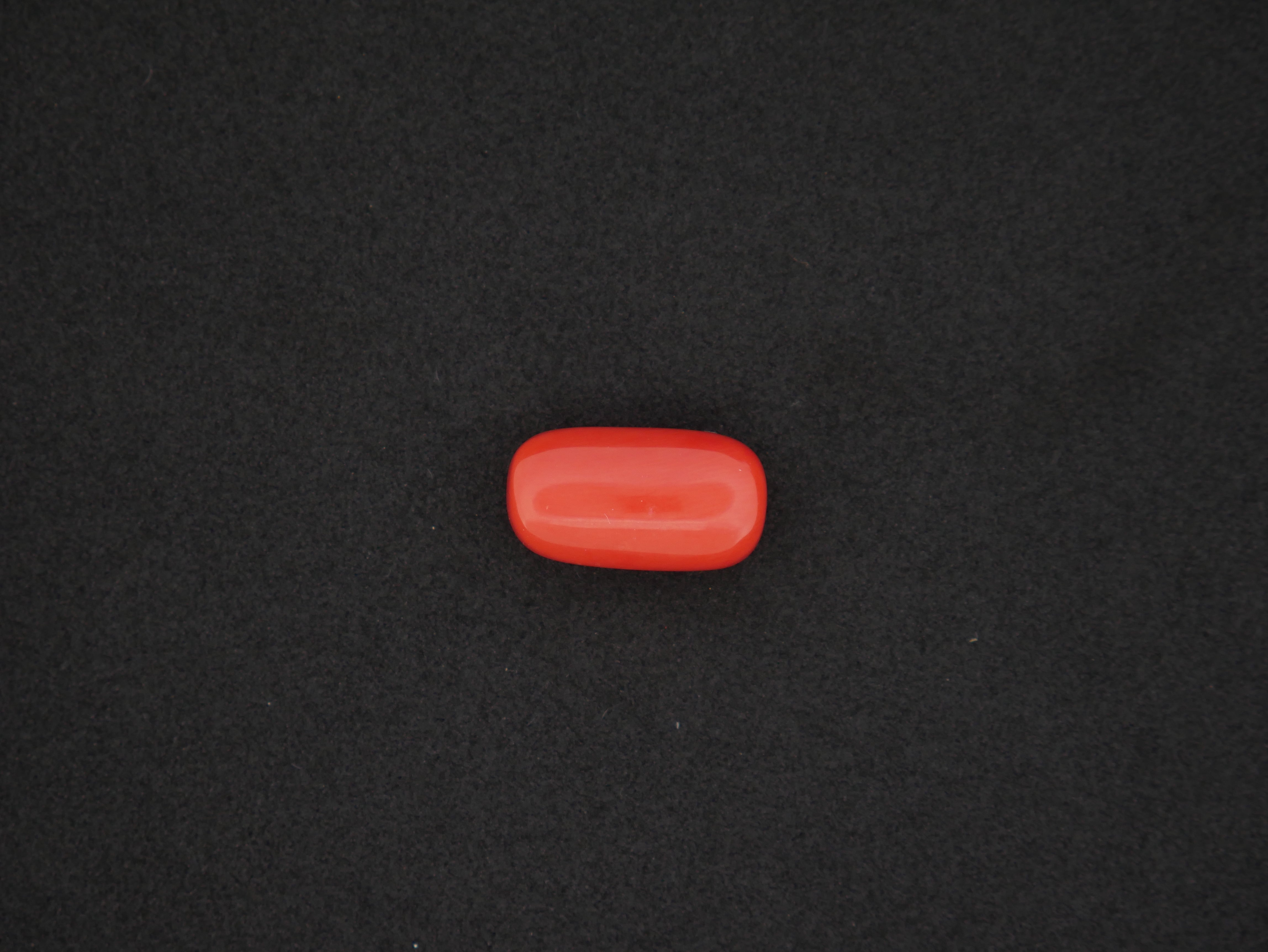 Japan Red Coral - 16.30 Carat