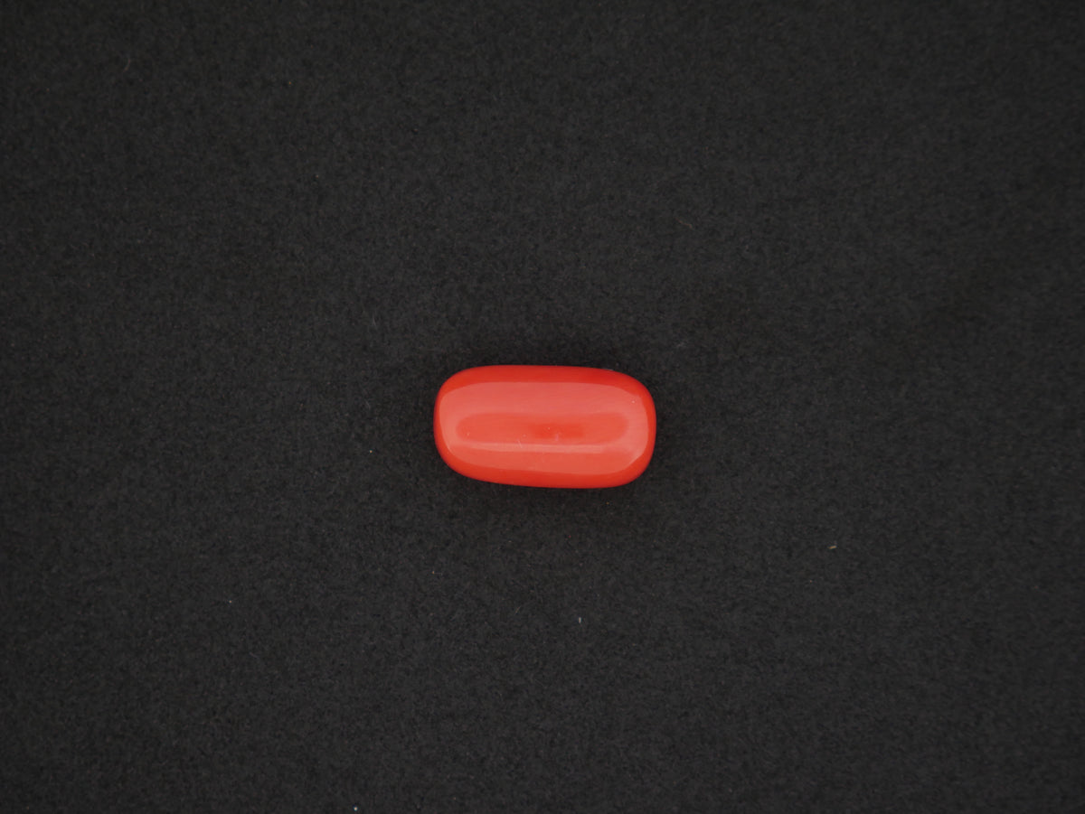 Japan Red Coral - 16.30 Carat