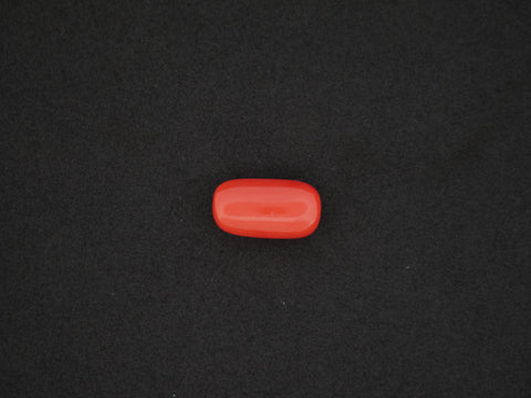 Japan Red Coral - 16.30 Carat