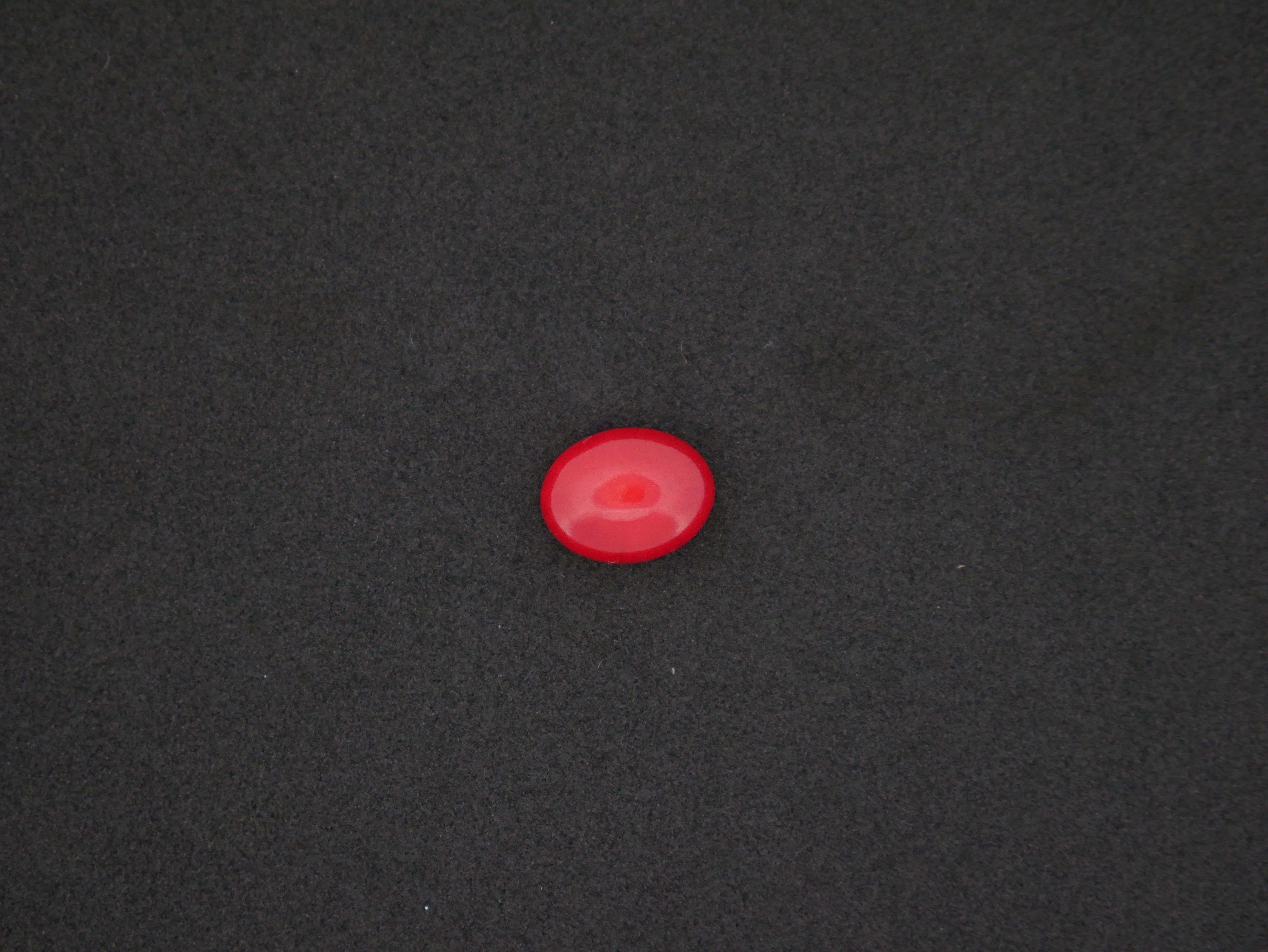 Italian Red Coral - 05.90 Carat