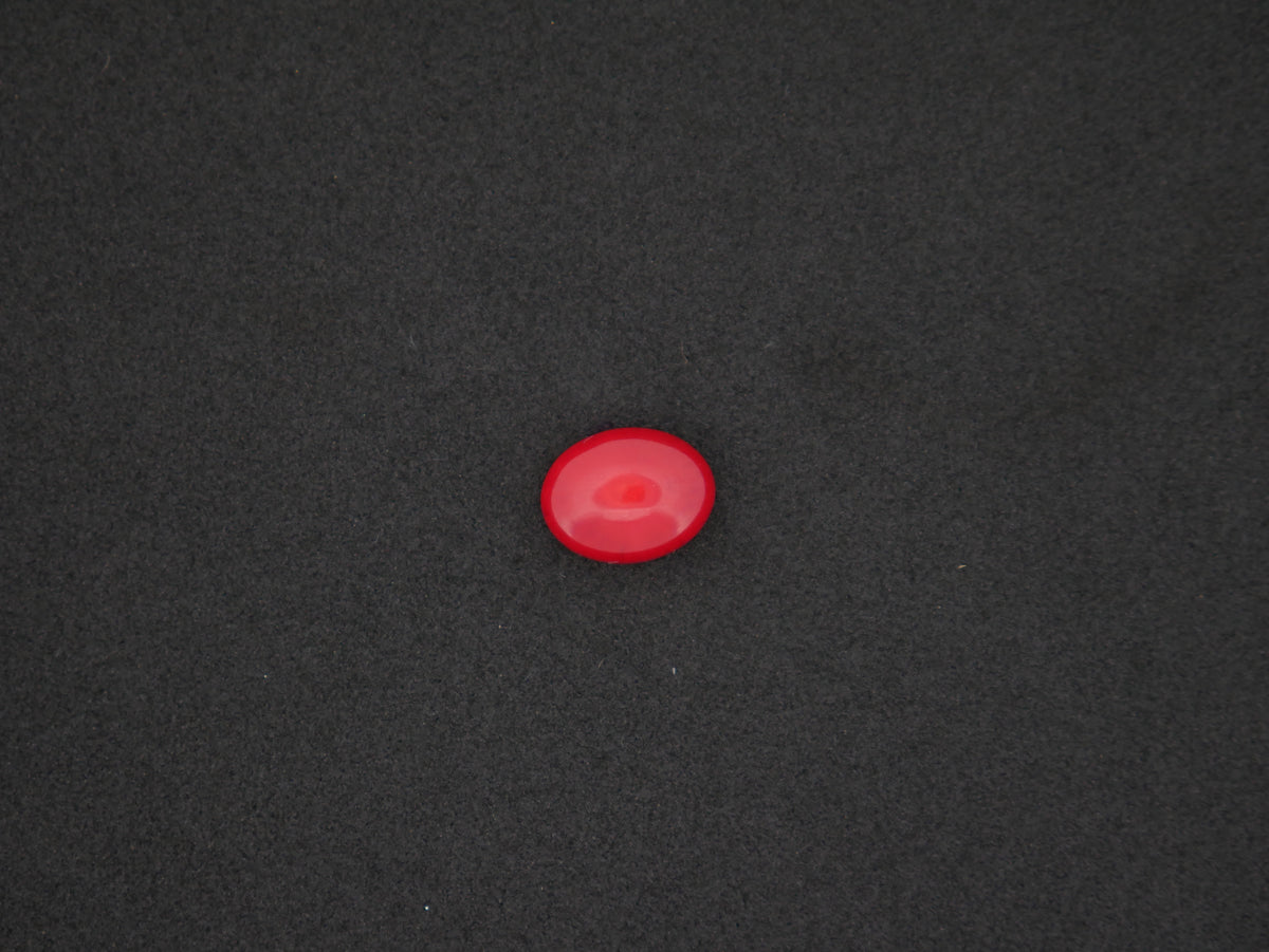 Italian Red Coral - 05.90 Carat