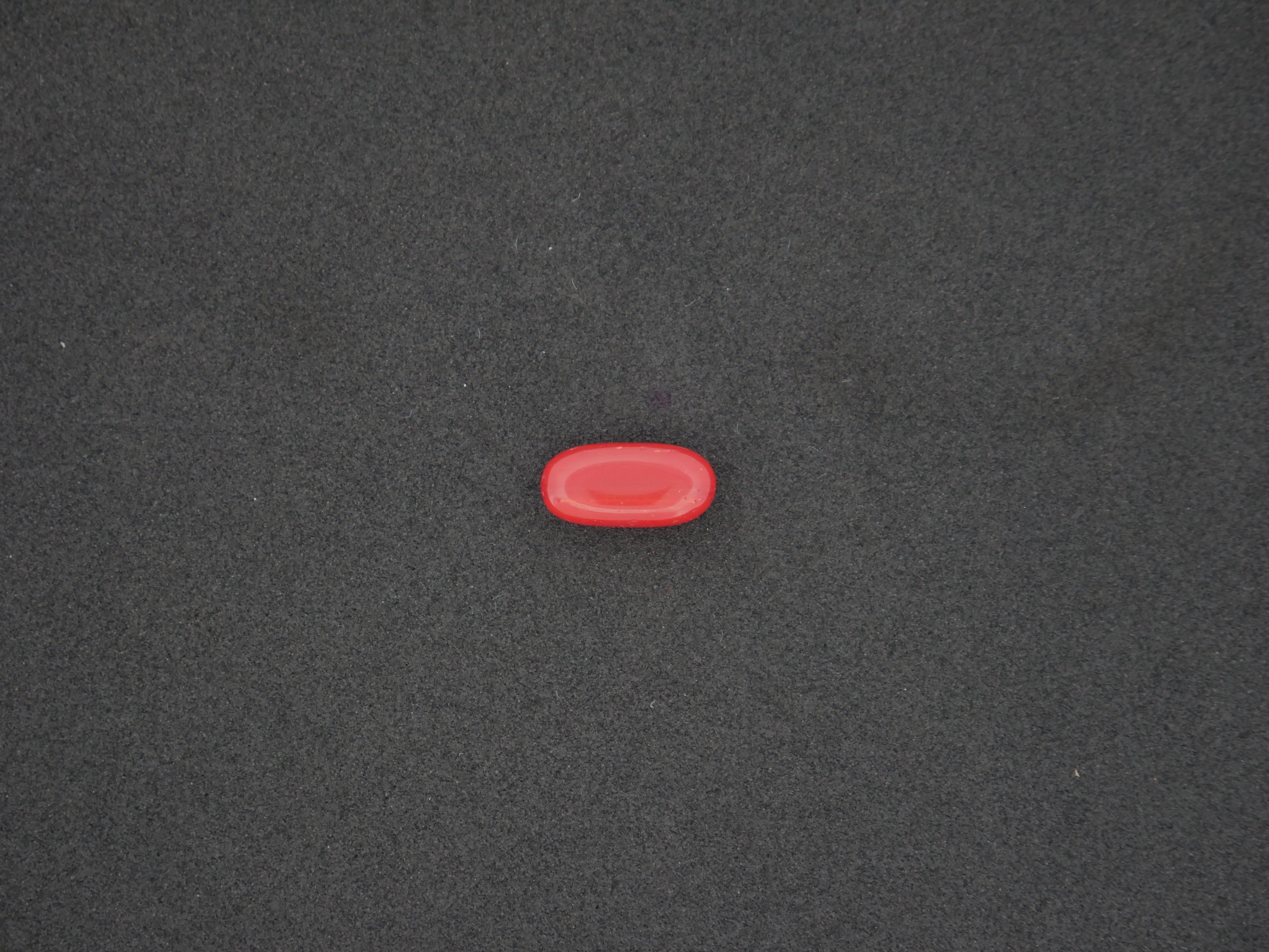 Italian Red Coral - 03.05 Carat