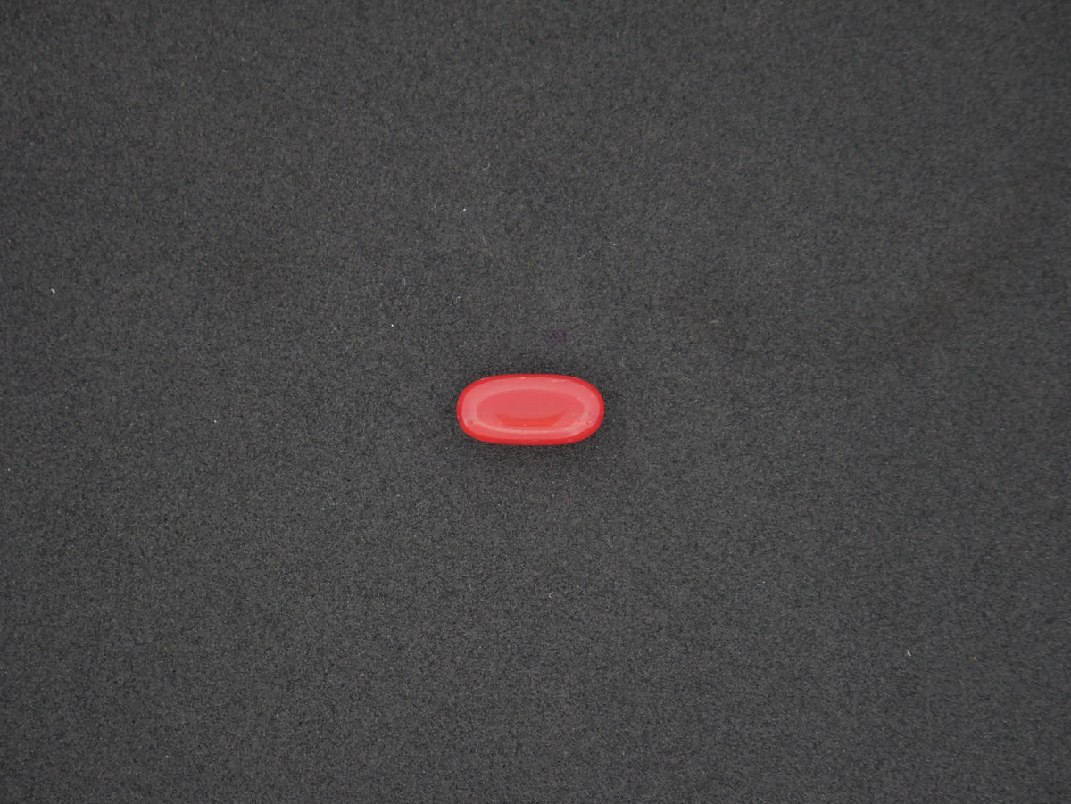 Italian Red Coral - 03.05 Carat