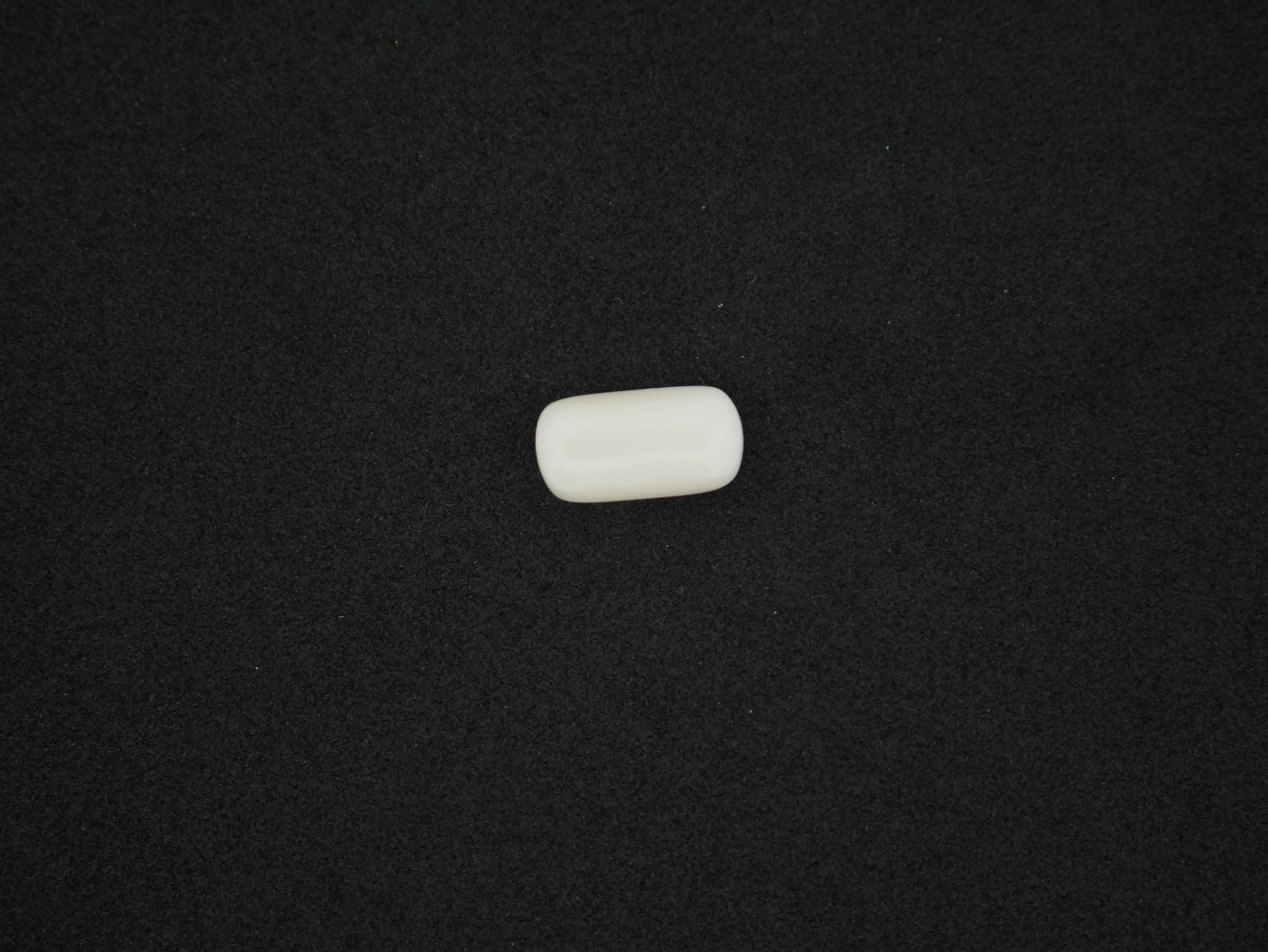 Japanese White Coral - 06.16 Carat