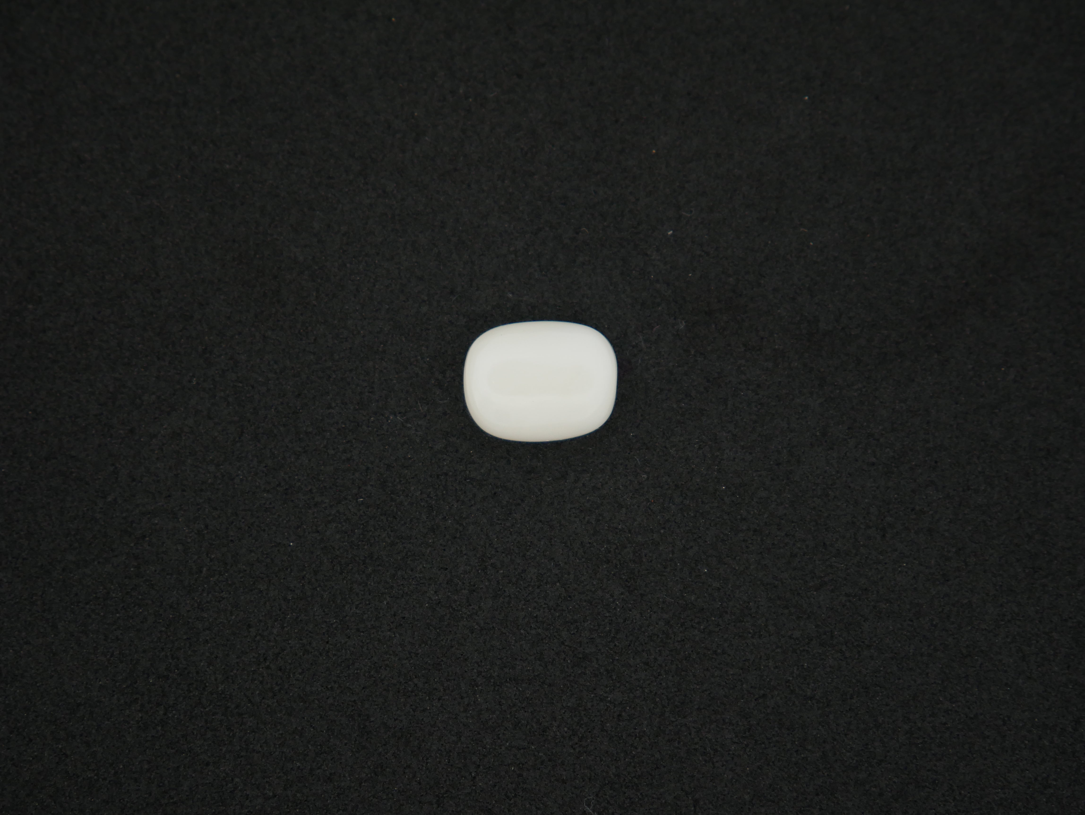 Japanese White Coral - 06.87 Carat