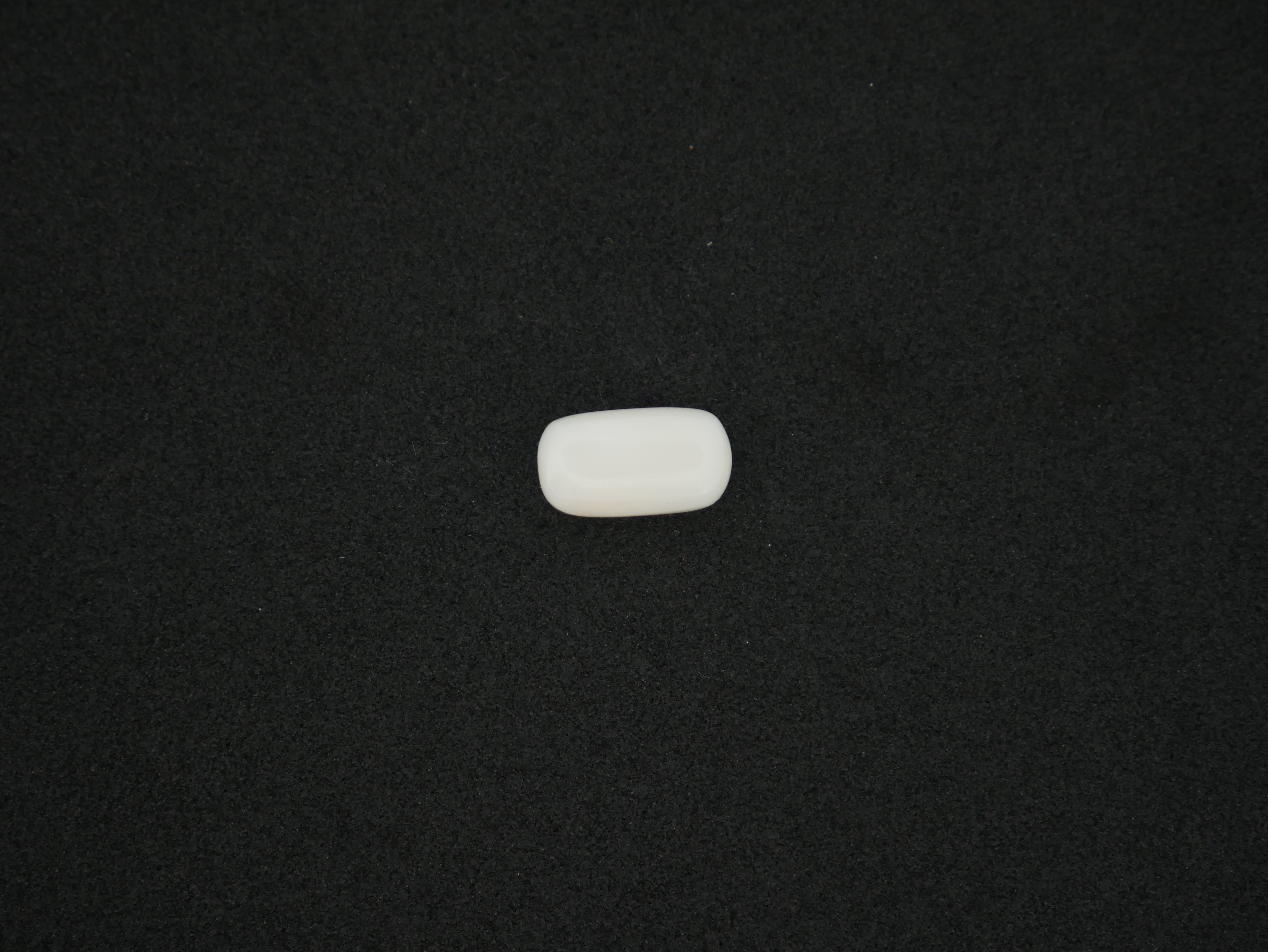 Japanese White Coral - 05.70 Carat