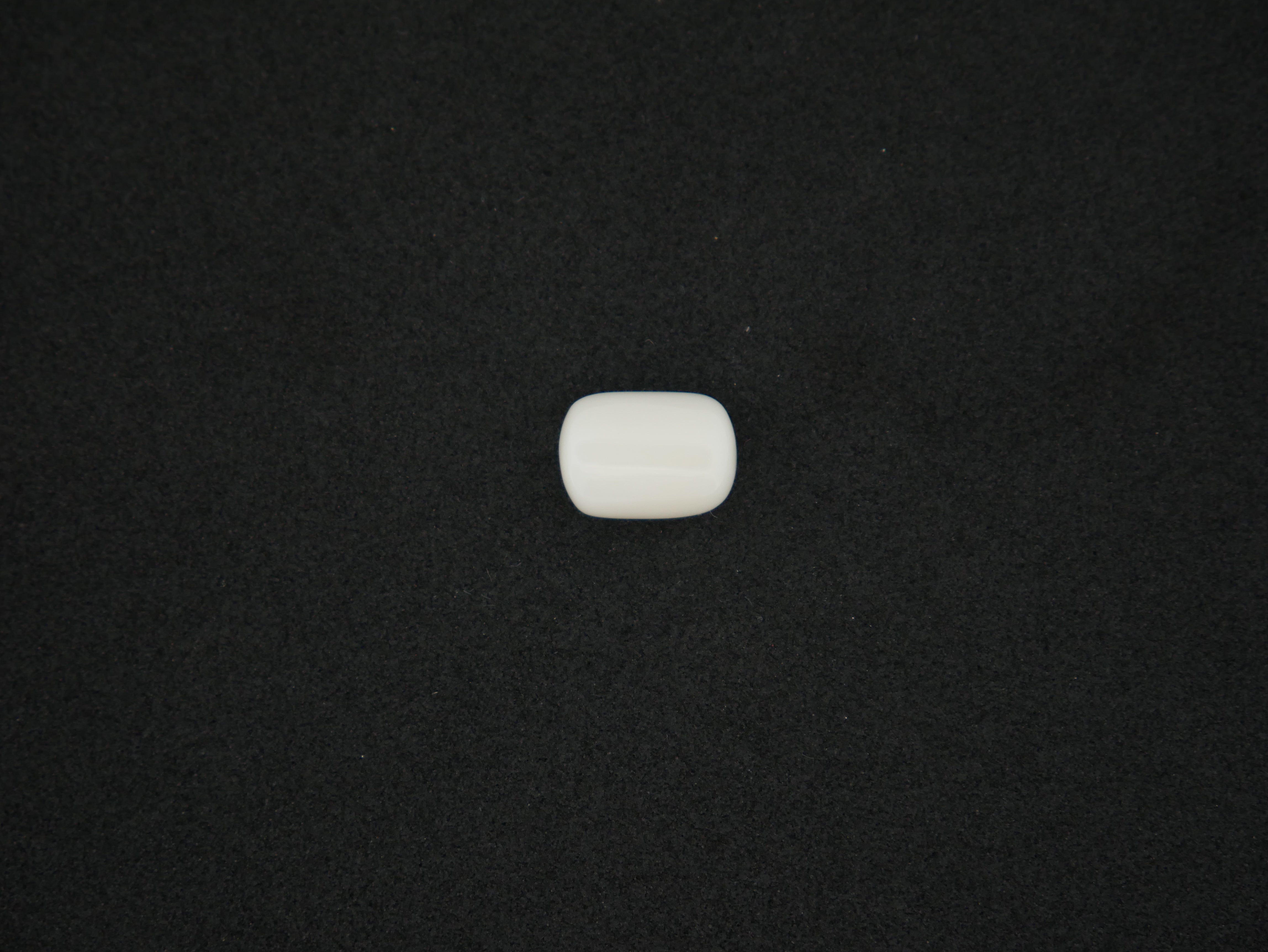 Japanese White Coral - 06.71 Carat