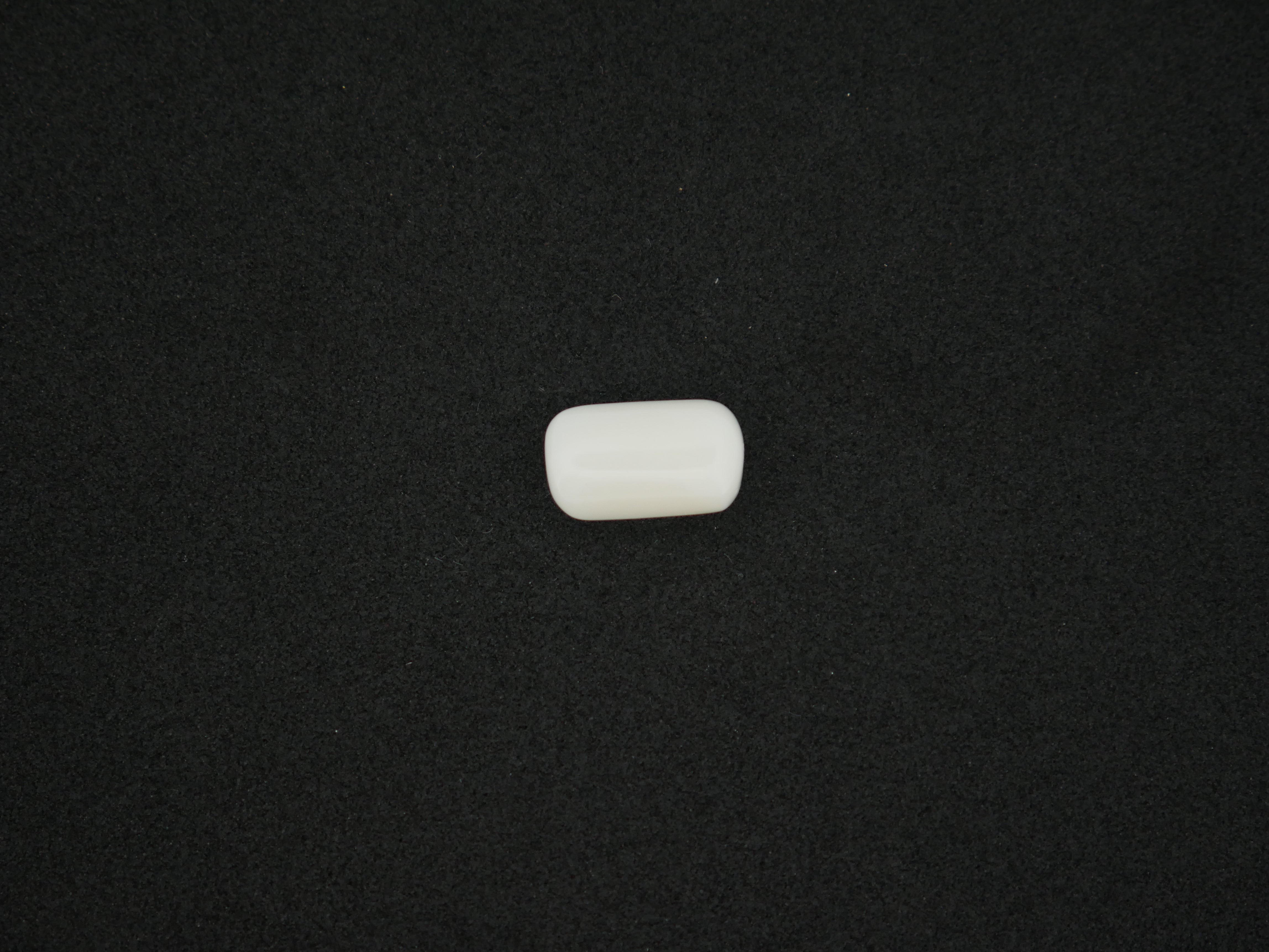 Japanese White Coral - 06.16 Carat
