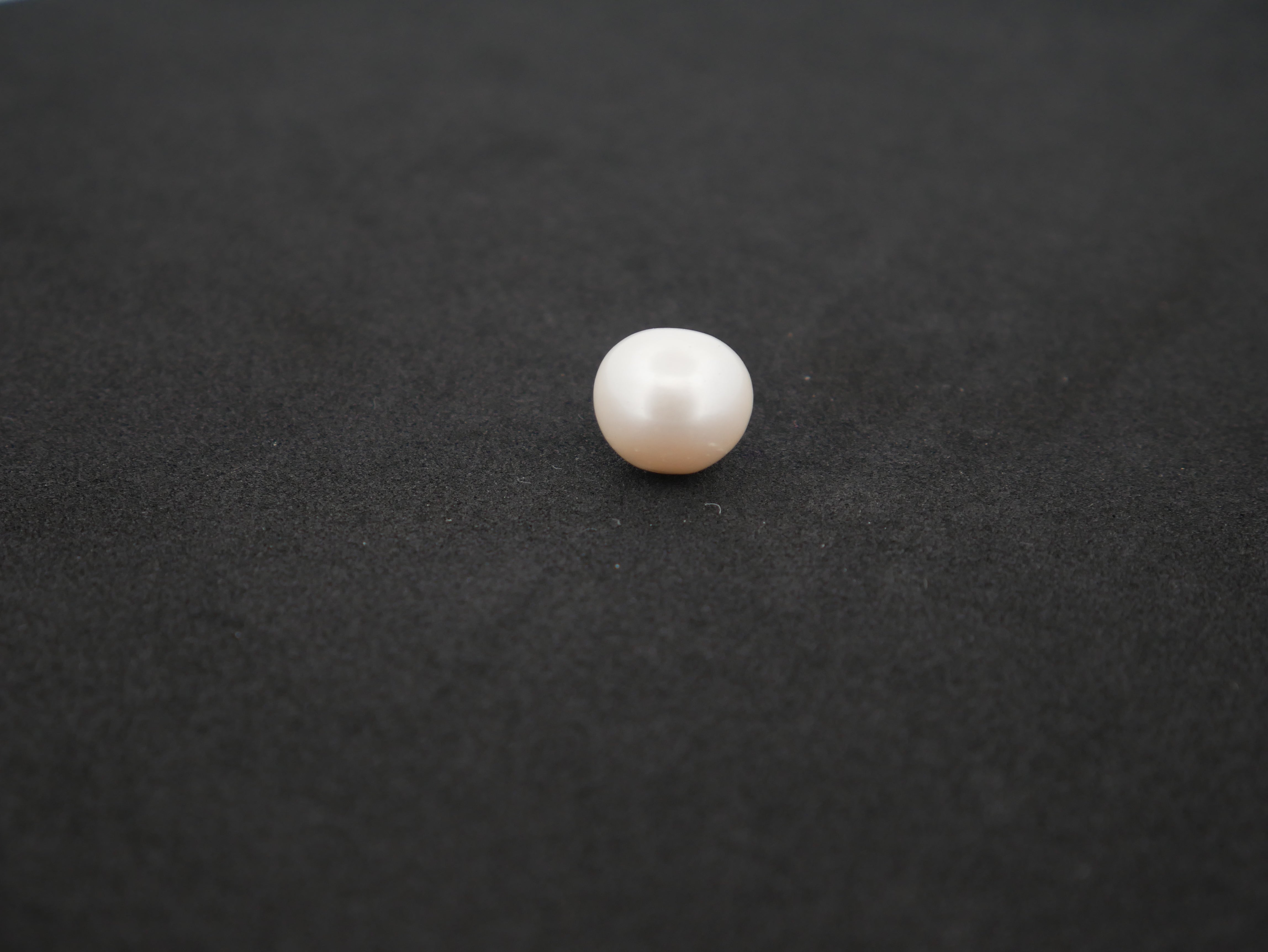 South Sea Moti -11.77 Carat