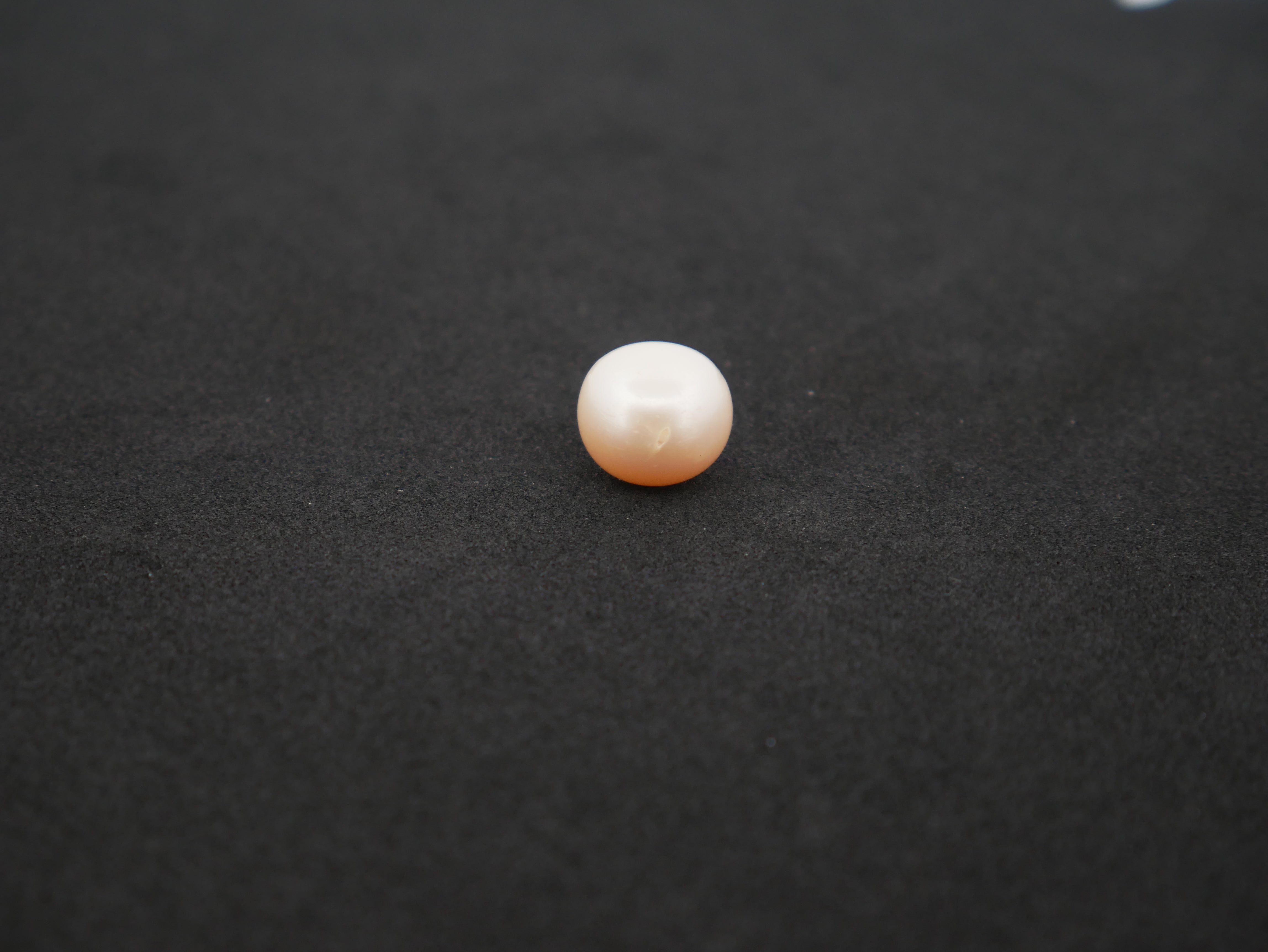 South Sea Moti -11.66 Carat
