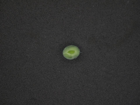 Srilanka Cats Eye - 05.54 Carat