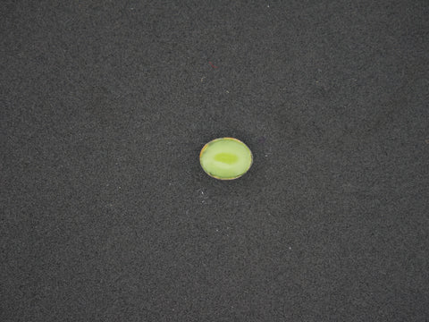 Srilanka Cats Eye - 05.32 Carat