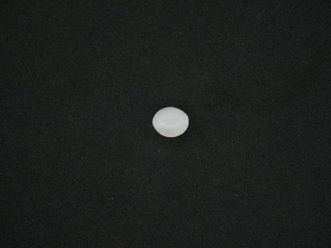 Srilanka Cats Eye - 04.17 Carat