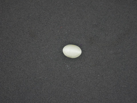 Srilanka Cats Eye - 05.98 Carat