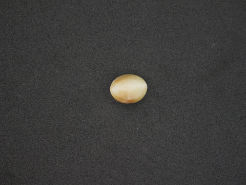 Srilanka Cats Eye - 07.47 Carat