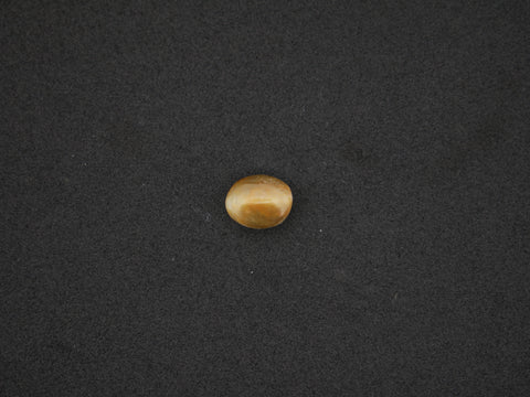 Irani Firoza - 07.34 Carat