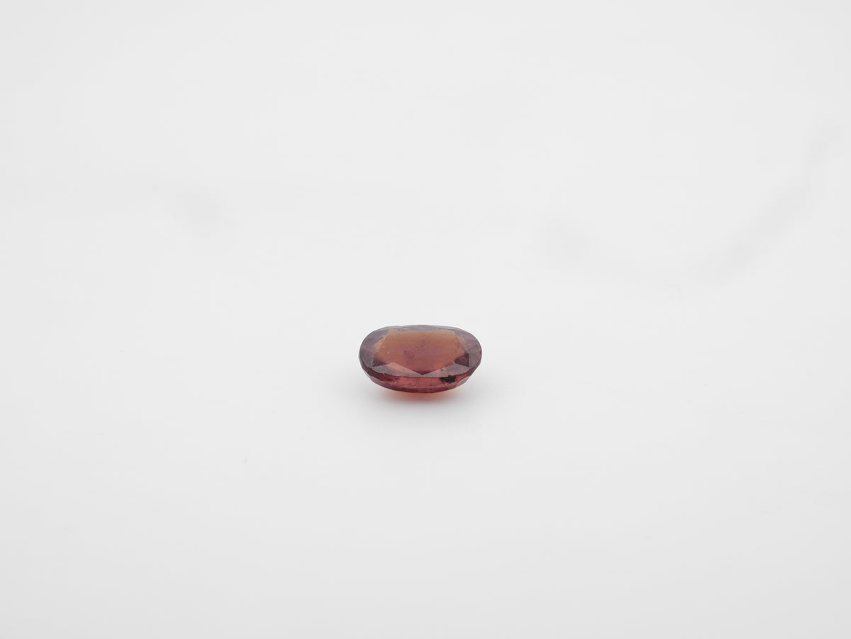 Odisha Gomed - 06.81 Carat